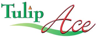 Tulip Ace logo