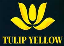 tulip yellow logo